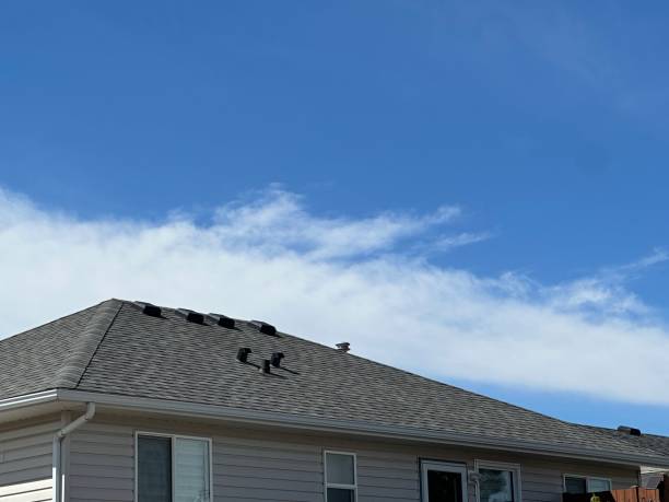 Best Storm Damage Roof Repair  in Cloverdale, VA